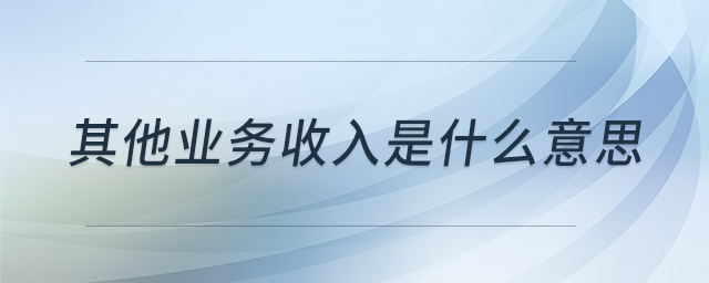 其他業(yè)務(wù)收入是什么意思 其他業(yè)務(wù)收入是什么意思