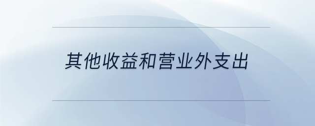 其他收益和營業(yè)外支出
