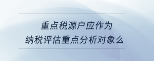 重點(diǎn)稅源戶應(yīng)作為納稅評估重點(diǎn)分析對象么