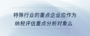 特殊行業(yè)的重點(diǎn)企業(yè)應(yīng)作為納稅評估重點(diǎn)分析對象么