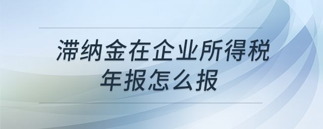 滯納金在企業(yè)所得稅年報(bào)怎么報(bào) 滯納金在企業(yè)所得稅年報(bào)怎么報(bào)