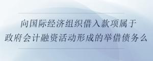 向國際經(jīng)濟(jì)組織借入款項屬于政府會計融資活動形成的舉借債務(wù)么