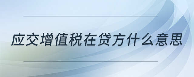 應交增值稅在貸方什么意思