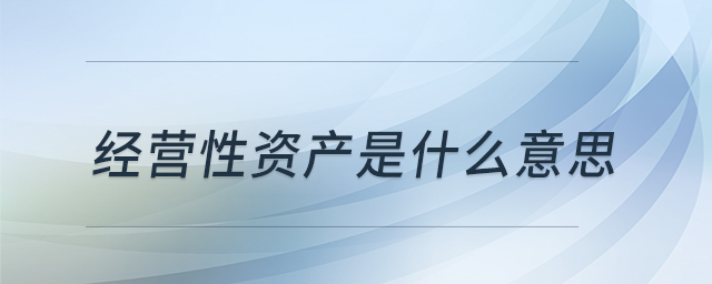 經(jīng)營性資產(chǎn)是什么意思