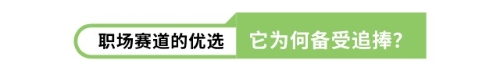 職場(chǎng)賽道的優(yōu)選它為何備受追捧？
