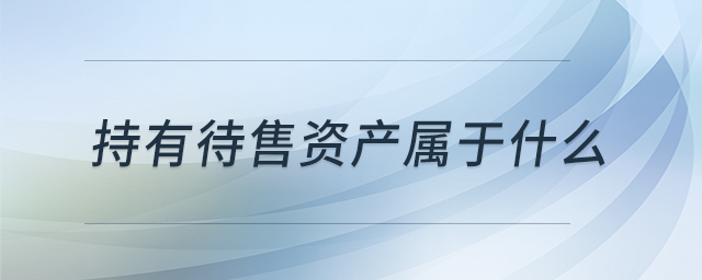 持有待售資產(chǎn)屬于什么 持有待售資產(chǎn)屬于什么