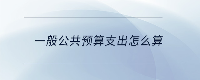 一般公共預(yù)算支出怎么算