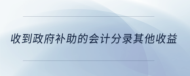 收到政府補助的會計分錄其他收益 收到政府補助的會計分錄其他收益