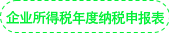 企業(yè)所得稅年度納稅申報表 企業(yè)所得稅年度納稅申報表
