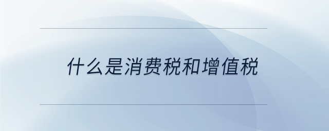 什么是消費(fèi)稅和增值稅 什么是消費(fèi)稅和增值稅