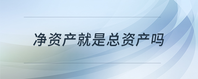 凈資產就是總資產嗎 凈資產就是總資產嗎