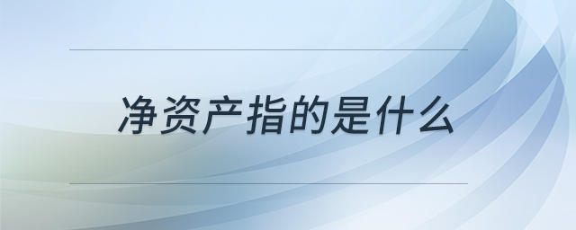 凈資產(chǎn)指的是什么 凈資產(chǎn)指的是什么