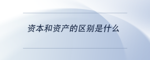 資本和資產(chǎn)的區(qū)別是什么