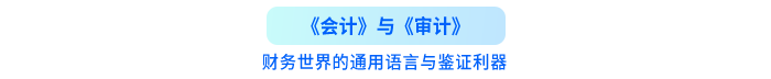 財(cái)務(wù)世界的通用語(yǔ)言與鑒證利器