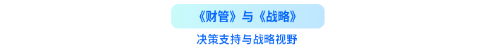 決策支持與戰(zhàn)略視野