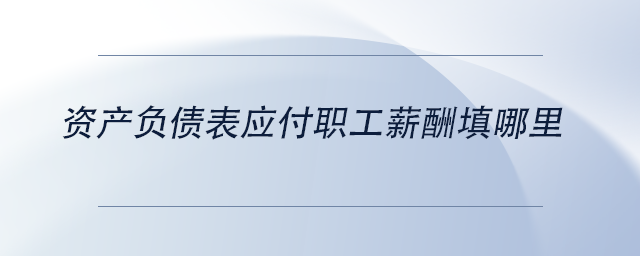 中級會計資產(chǎn)負(fù)債表應(yīng)付職工薪酬填哪里
