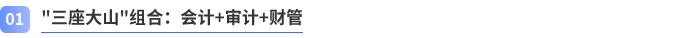 三座大山組合：會(huì)計(jì)+審計(jì)+財(cái)管