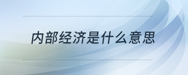 內(nèi)部經(jīng)濟是什么意思 內(nèi)部經(jīng)濟是什么意思