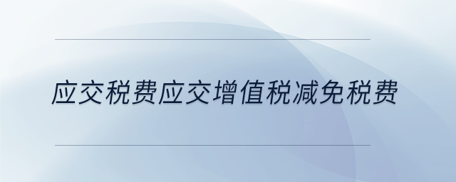 應交稅費應交增值稅減免稅費 應交稅費應交增值稅減免稅費