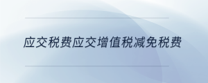 應(yīng)交稅費應(yīng)交增值稅減免稅費