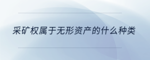 采礦權(quán)屬于無(wú)形資產(chǎn)的什么種類(lèi)