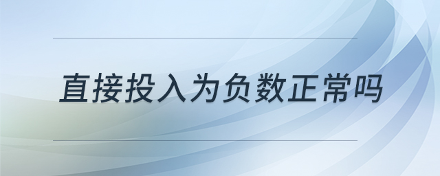 直接投入為負(fù)數(shù)正常嗎