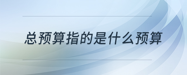 總預(yù)算指的是什么預(yù)算