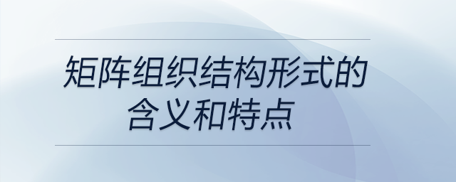 矩陣組織結(jié)構(gòu)形式的含義和特點(diǎn)