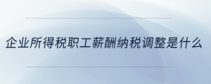 企業(yè)所得稅職工薪酬納稅調(diào)整是什么