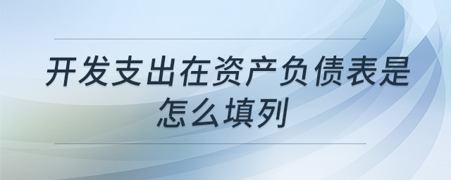 開發(fā)支出在資產(chǎn)負債表是怎么填列 開發(fā)支出在資產(chǎn)負債表是怎么填列