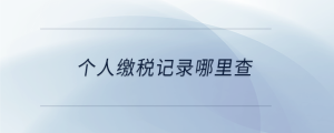 個人繳稅記錄哪里查