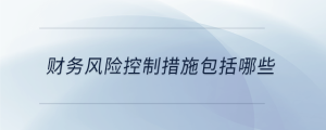 財務風險控制措施包括哪些