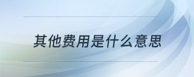 其他費(fèi)用是什么意思 其他費(fèi)用是什么意思
