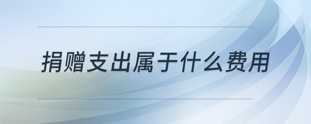 捐贈(zèng)支出屬于什么費(fèi)用 捐贈(zèng)支出屬于什么費(fèi)用