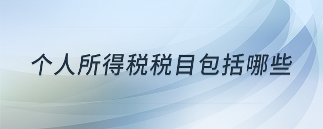 個(gè)人所得稅稅目包括哪些 個(gè)人所得稅稅目包括哪些