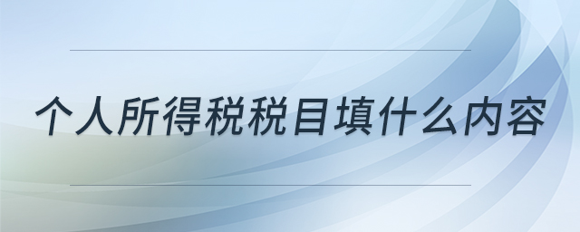 個(gè)人所得稅稅目填什么內(nèi)容 個(gè)人所得稅稅目填什么內(nèi)容