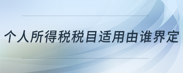 個人所得稅稅目適用由誰界定