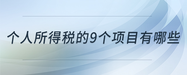 個(gè)人所得稅的9個(gè)項(xiàng)目有哪些