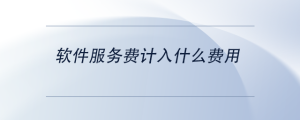 軟件服務(wù)費(fèi)計入什么費(fèi)用
