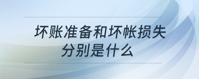 壞賬準(zhǔn)備和壞帳損失分別是什么 壞賬準(zhǔn)備和壞帳損失分別是什么