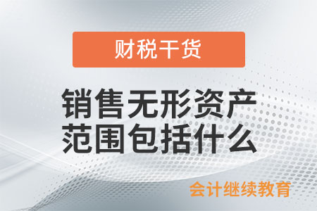 銷售無形資產(chǎn)的范圍包括什么？