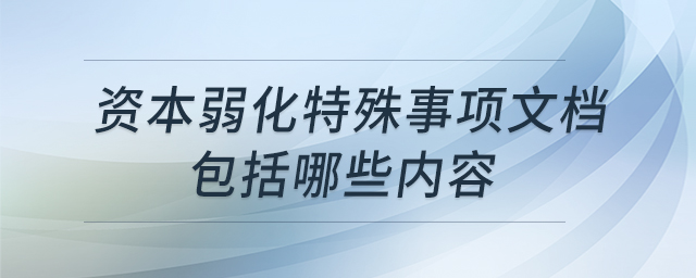 資本弱化特殊事項(xiàng)文檔包括哪些內(nèi)容