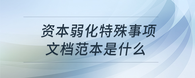 資本弱化特殊事項文檔范本是什么 資本弱化特殊事項文檔范本是什么