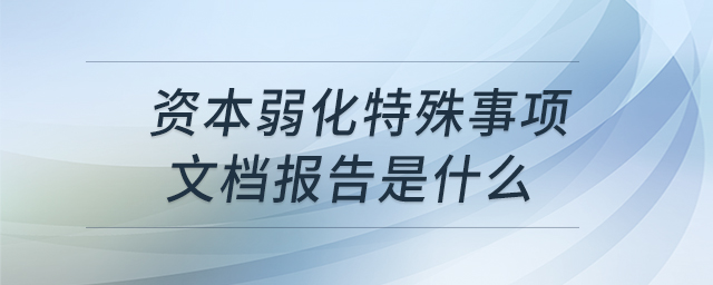 資本弱化特殊事項(xiàng)文檔報(bào)告是什么 資本弱化特殊事項(xiàng)文檔報(bào)告是什么