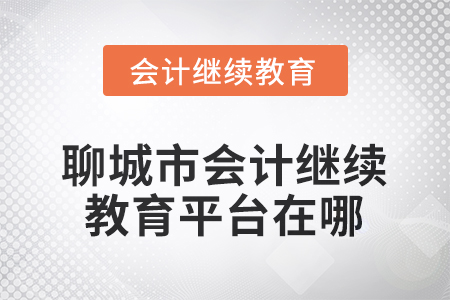 2025年度聊城市會(huì)計(jì)人員繼續(xù)教育平臺(tái)在哪？