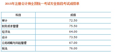 注冊(cè)會(huì)計(jì)師
