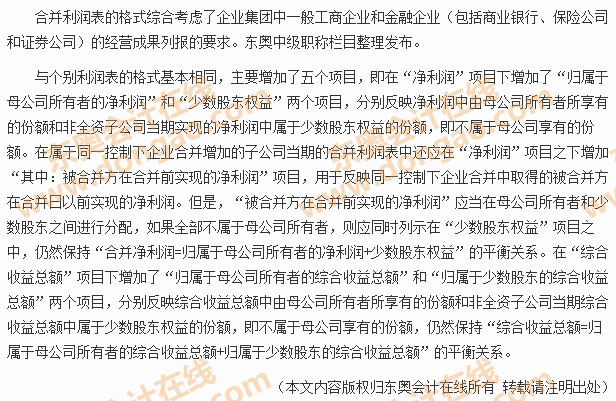 合并利潤表基本格式